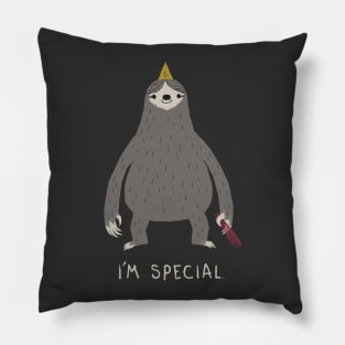 Special Pillow