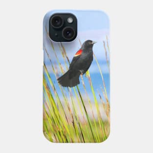 Summer Red Winged Blackbird Phone Case