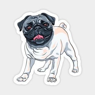 Copy of Black pug Dog Magnet