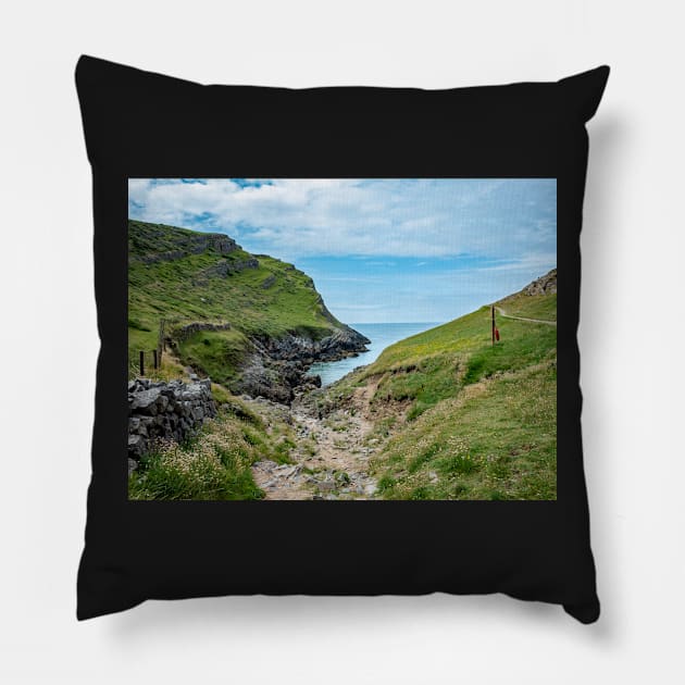 Welsh Coastal Path, Gower, South Wales. The rocky path down to Mewslade Bay at high tide Pillow by yackers1