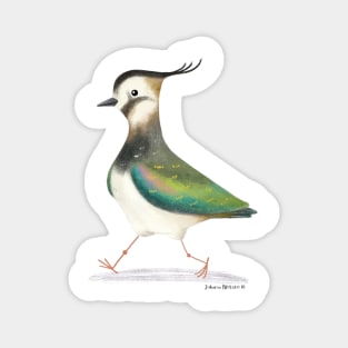 Lapwing Bird Magnet