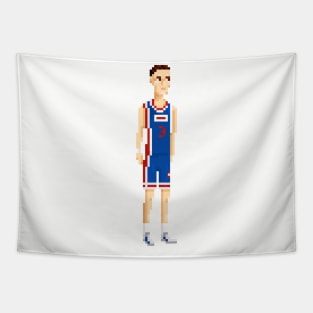 Drazen Petrovic Tapestry