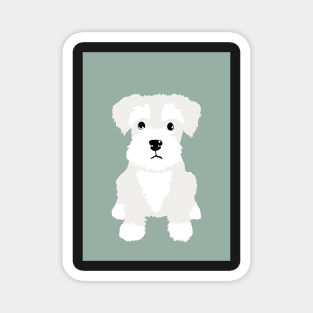 White Miniature Schnauzer Puppy Dog Magnet