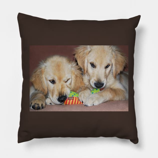 "Sibling Rivalry" Pillow by LaurieMinor