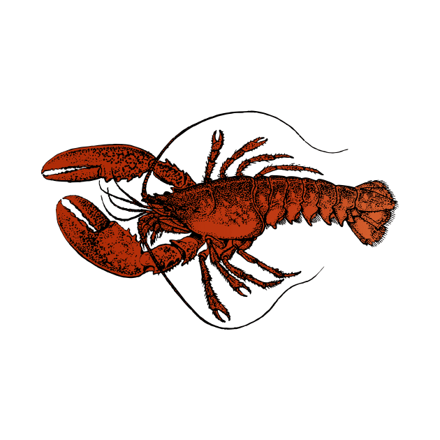 lobster pattern by B0red