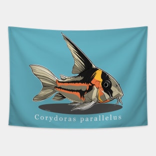 Corydoras parallelus Tapestry