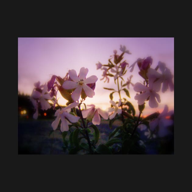 wildflowers & Columbia River sunset 2 by DlmtleArt