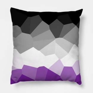 Ace Flag Poly, subtle Pillow