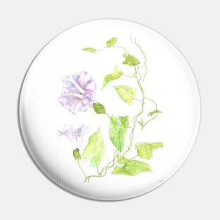 Pale pink Morning Glory Pin