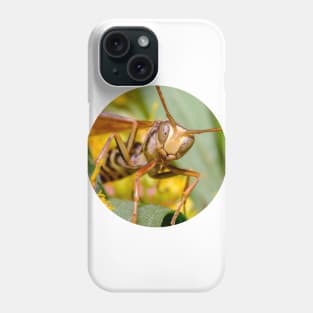 Paper Wasp Macro Photograph Phone Case