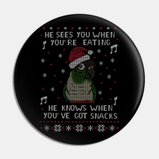 Christmas Snack Green cheeked conure Pin