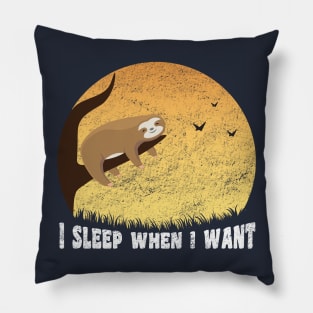 I Sleep When I Want, Funny Sloth Saying Pillow