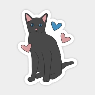 Russian Blue Cat Magnet