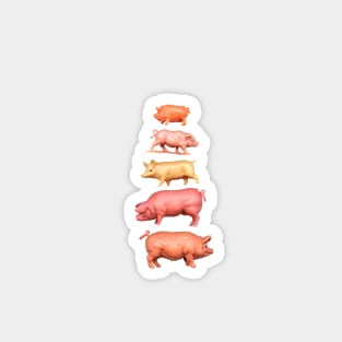 Stack of pigs on the green green grass of home Magnet