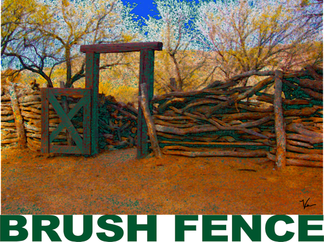 Brush Fence in Tucson Kids T-Shirt by Verl