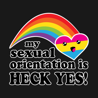 My Sexual Orientation Is Heck Yes Pansexual Pride T-Shirt