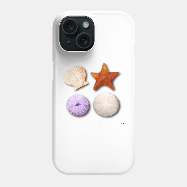 Scallop, Starfish, Sea Urchin, Sand Dollar Phone Case by FernheartDesign