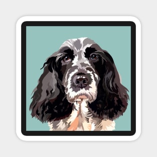 Nancy the black and white Cocker Spaniel Magnet