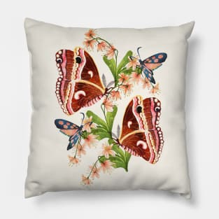 Silk Moth Pillow