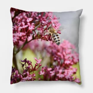 Honey Bees & Pink / Swiss Artwork Photography Pillow