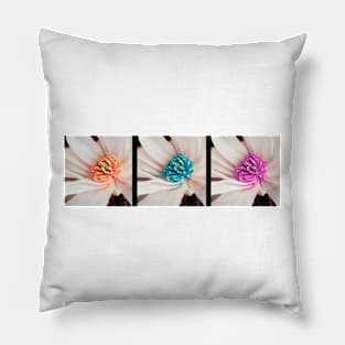 Flower Trio Pop Art Style photo art Pillow