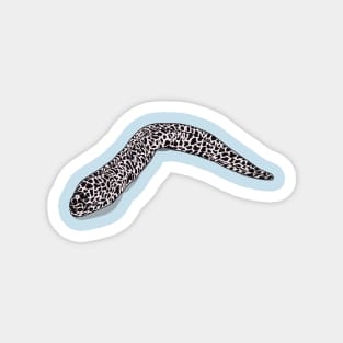 Spotted moray eel cartoon illustration Magnet