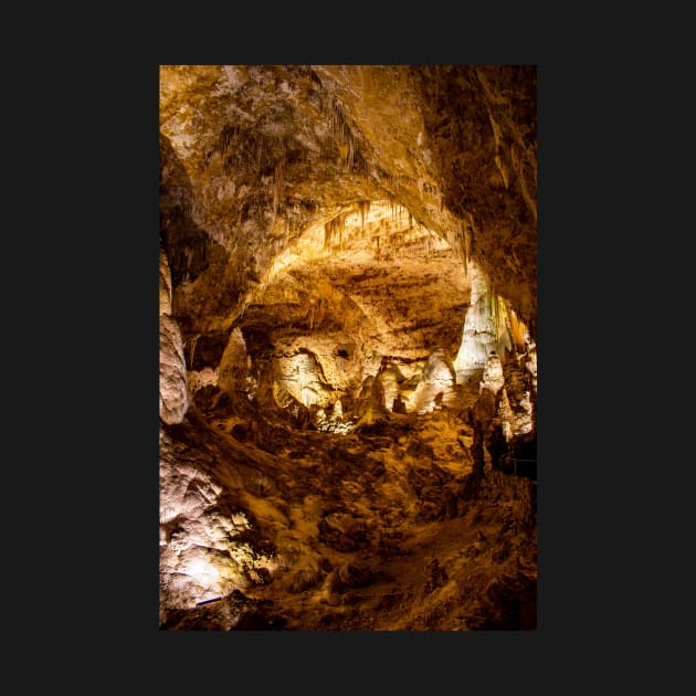 Carlsbad Caverns by SAINTSPHOTOS