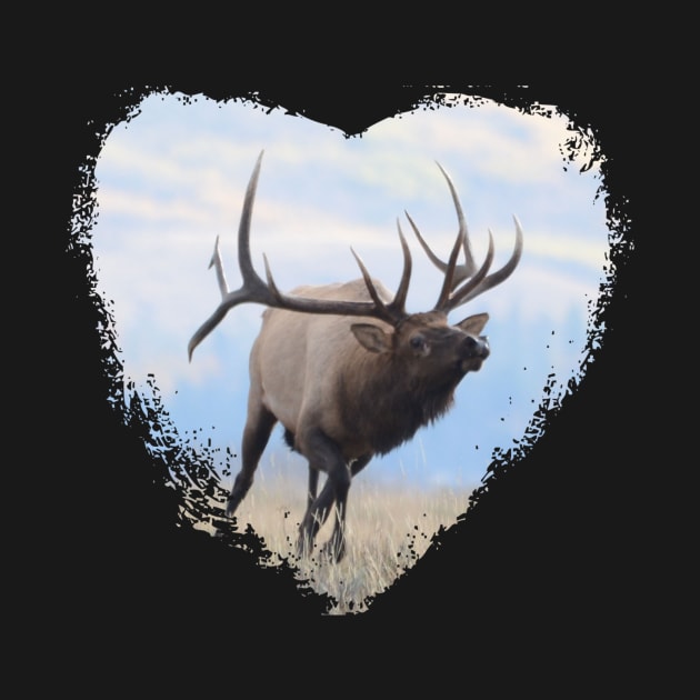 Montana Elk 1 by Whisperingpeaks