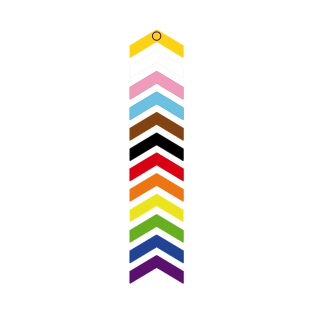 Pride Flag Chevrons Arrow Intersectional Intersex Progress Vertical T-Shirt