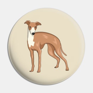 Greyhound dog cartoon illustration Pin