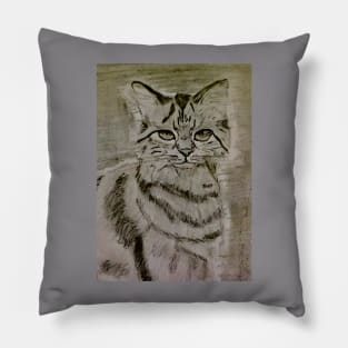 Gothic Cat Sketch Pillow