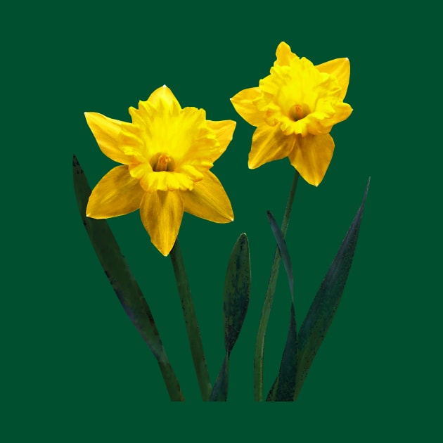 Yellow Daffodil Pair by SusanSavad