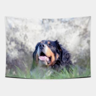 Bernese Mountain Dogs Tapestry