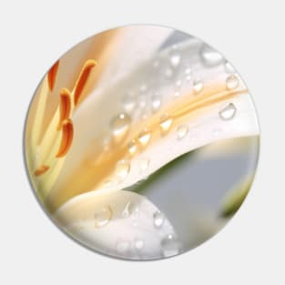 Lilium Flower Petal Nature Serene Calm Pin