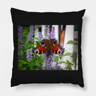 Butterfly Pillow