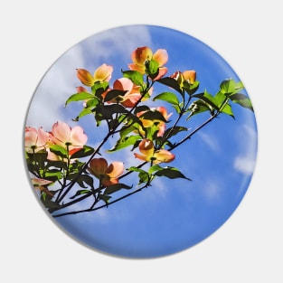 Pink Dogwood Against the Sky Pin