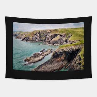 Wonderful Coastal Scenery - Ceibwr Bay, Pembrokeshire Tapestry