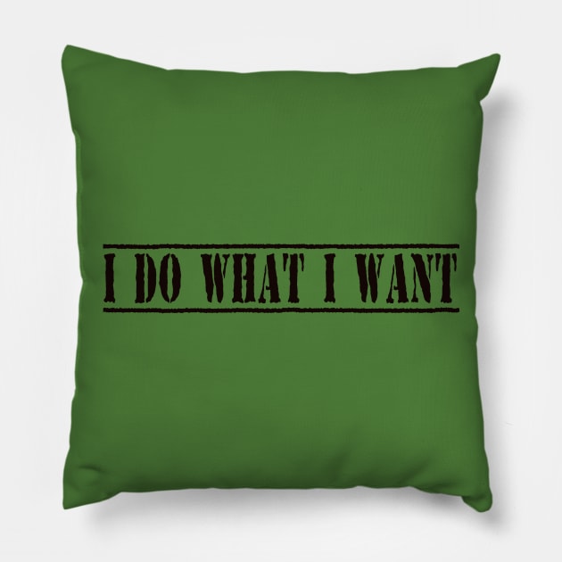 I Do What I Want Funny, Sarcastic, Witty Saying Pillow by ckandrus