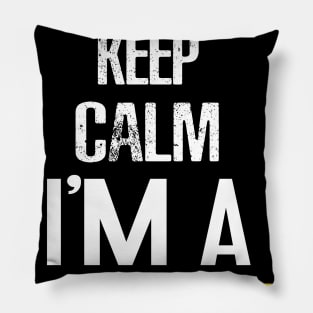 Keep calm I'am Programmer Pillow