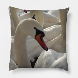 on a lake Pillow