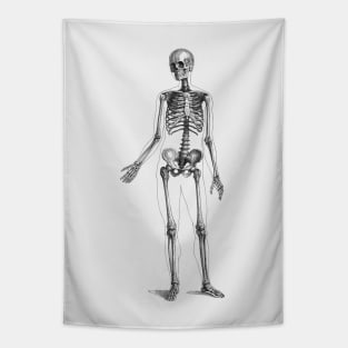 Full Body Skeleton - Vintage Anatomy Tapestry