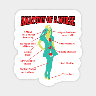 Anatomy of a Nurse Magnet