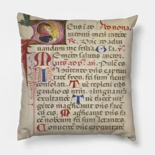 Beautiful Illuminated Manuscript Pillow