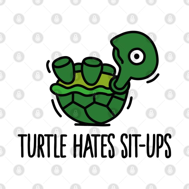 Turtle hates sit-ups by LaundryFactory