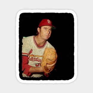 Steve Carlton - 4136 Ks Magnet