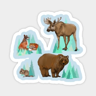 Wild Animals Magnet