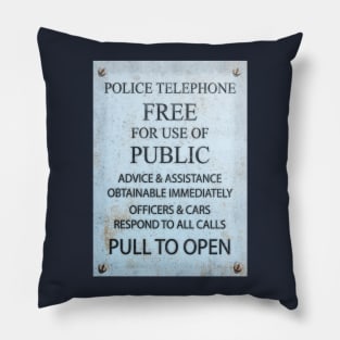 TARDIS Door Plate Pillow