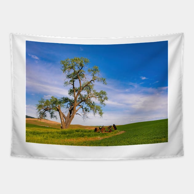 Lone Tree in the Palouse Tapestry by jforno
