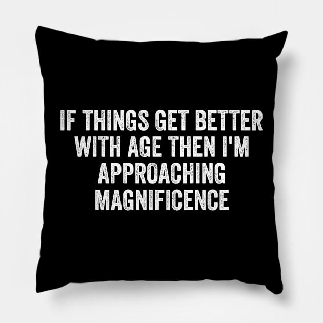 If Things Get Better With Age, Funny Ageing T-Shirt, Birthday Retirement Gift Tee for Men or Women Pillow by Y2KERA