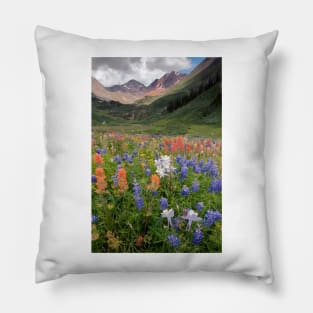 Alpine flowers in Rustler's Gulch, USA (C006/6000) Pillow